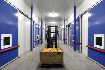 Automatic Doors - Cold Storage 